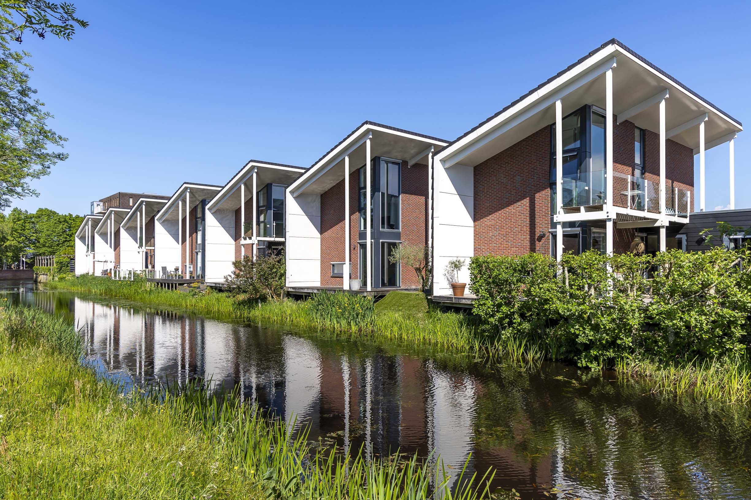 Himsterhout Zaailand 6