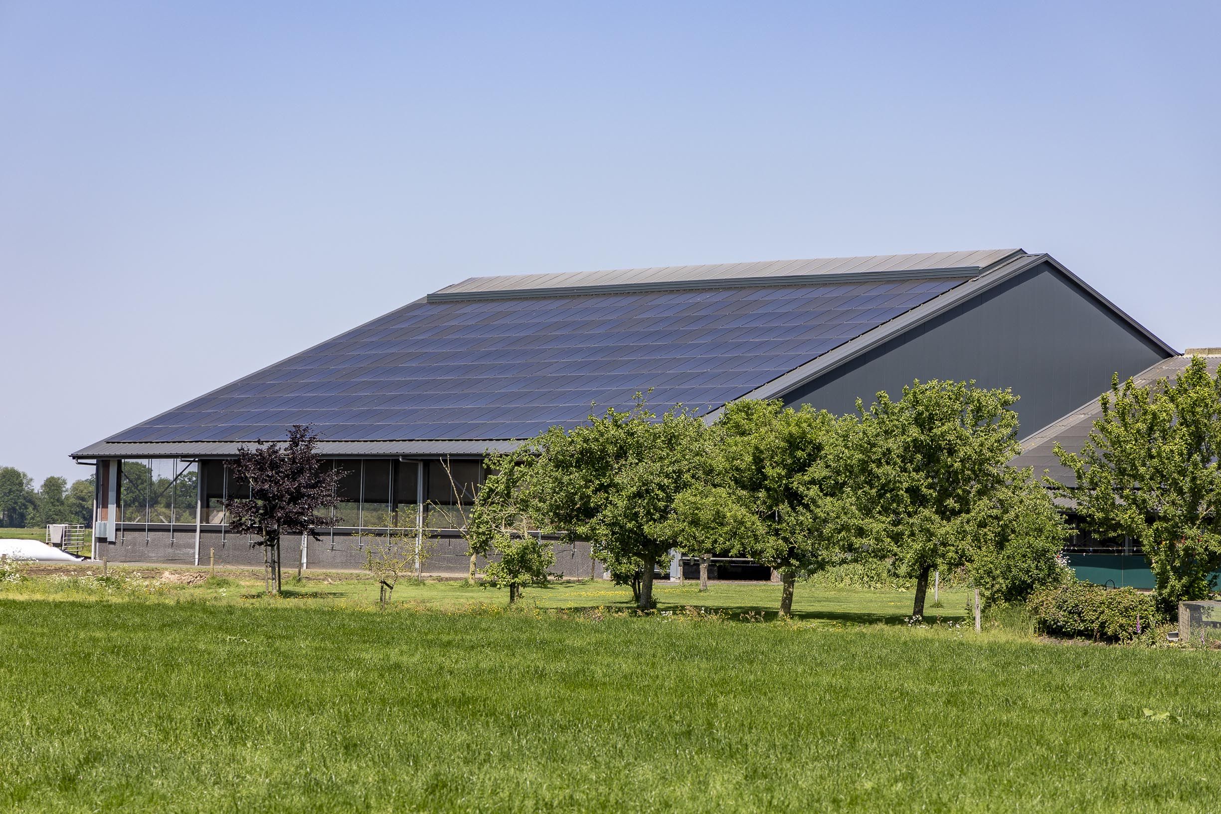 Goudtsjepoel Oudega 2